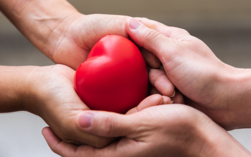 Two hands holding a foam heart.